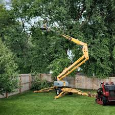 Best Tree Trimming and Pruning  in East Palo Alto, CA